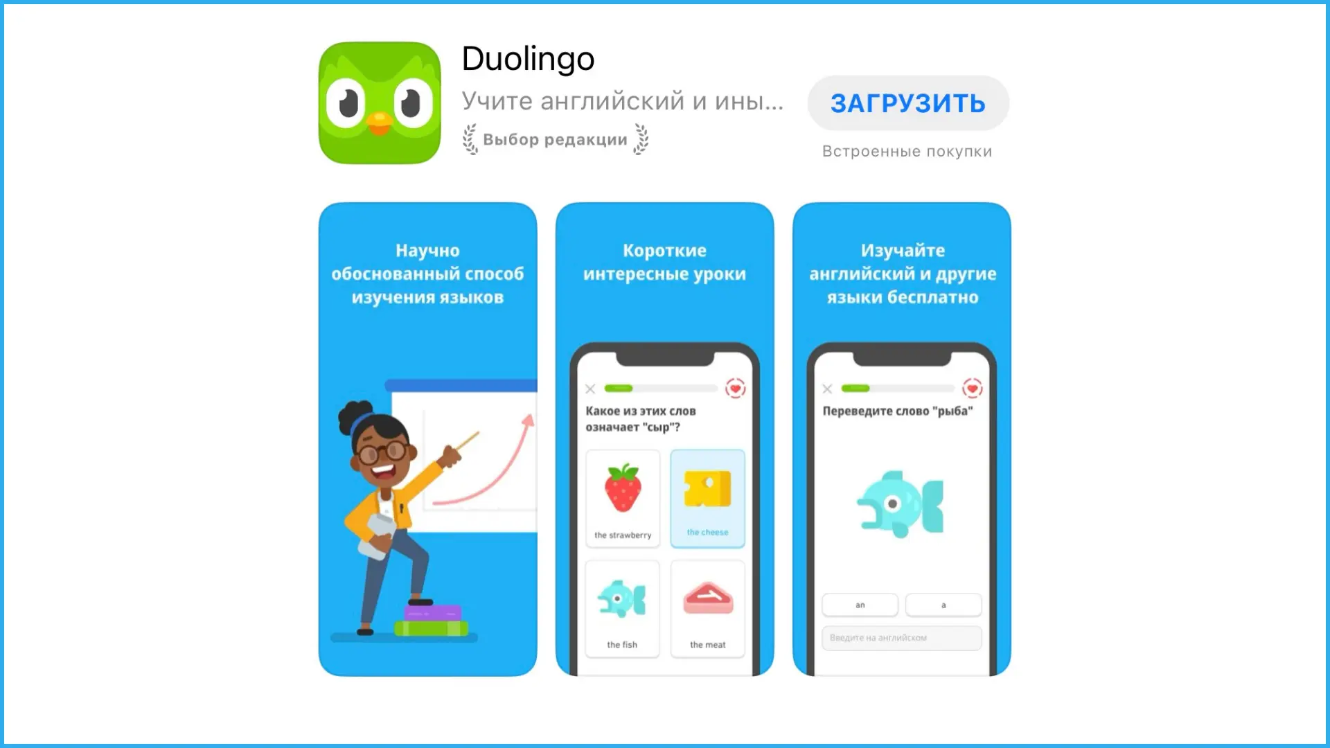 Полезные приложения для изучения иностранных языков - Duolingo