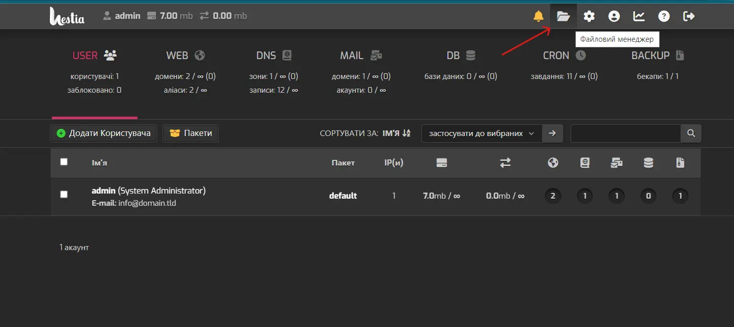 vds хостинг для сайту - файловий менеджер у панелі керування