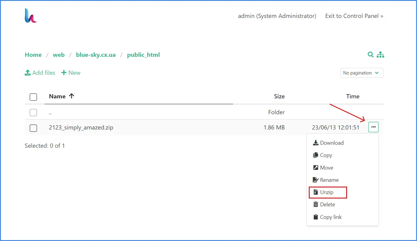 VPS server - unpacking files from the archive