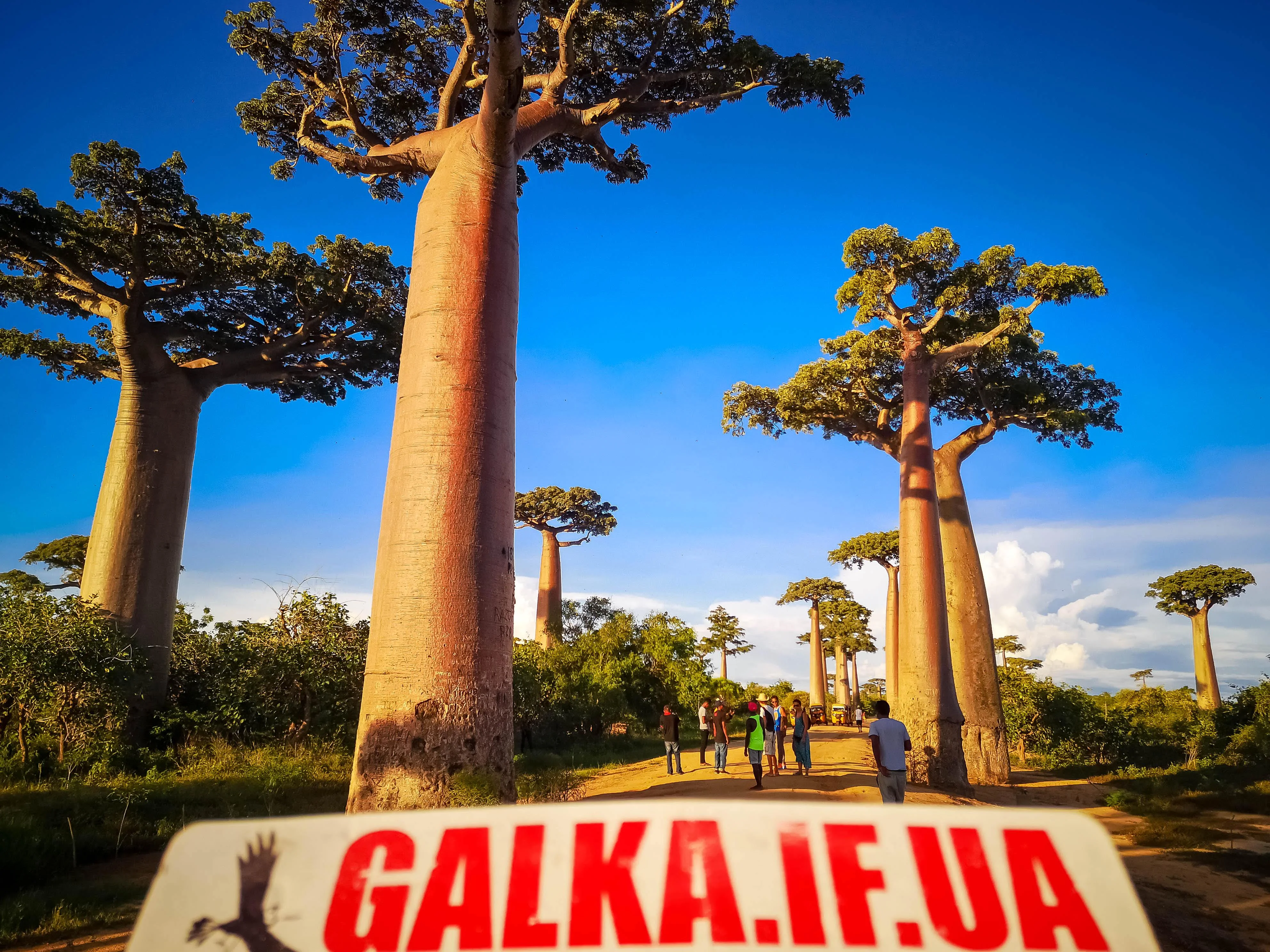 Ukrainian media group Galka in Madagascar