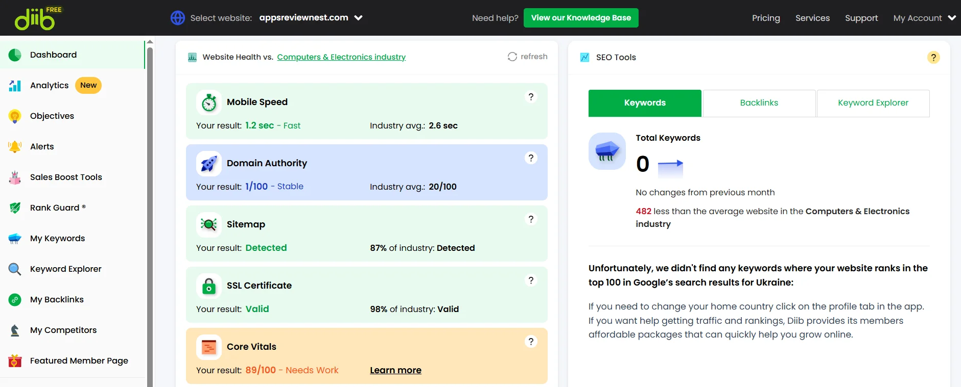 Technical website analysis on the Diib AI service