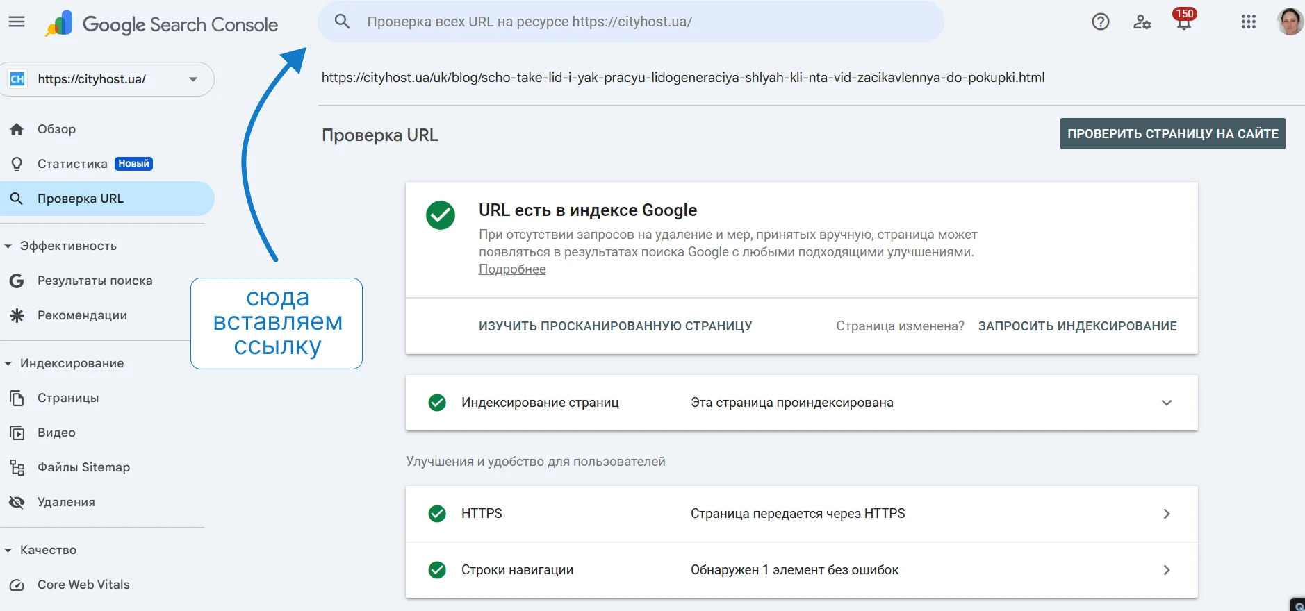 Пример проверки статуса индексации страницы