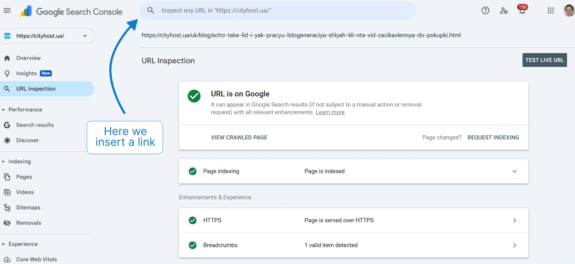 Example of checking the indexation status of a page