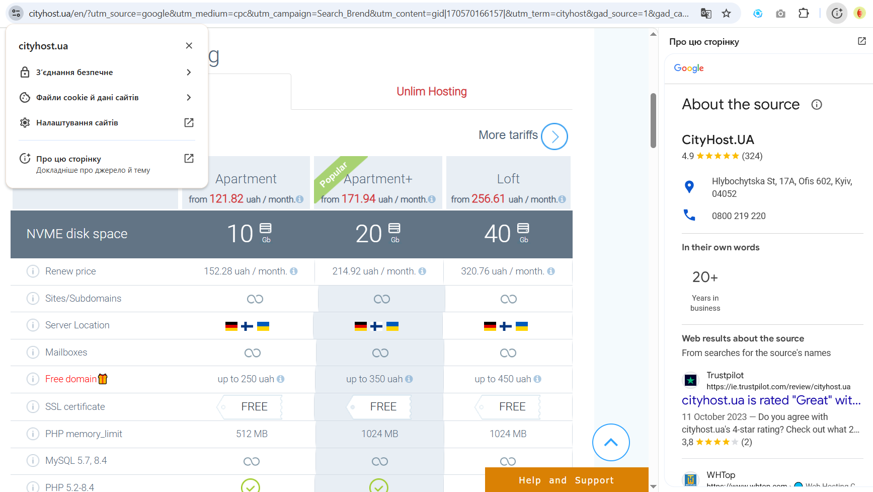Informacja o stronie serwisu na przykładzie Cityhost.