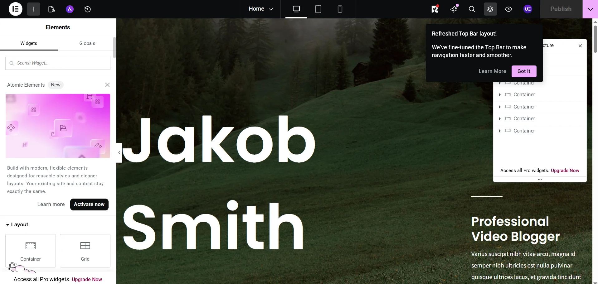 Classic view of the Elementor page builder