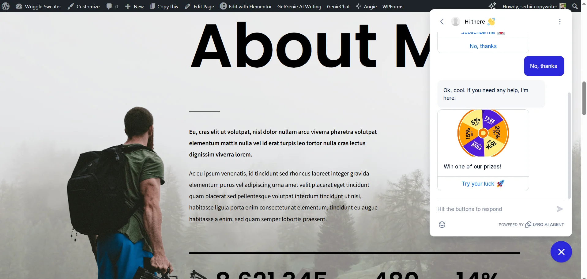 Example of a chat from Tidio on a WordPress site