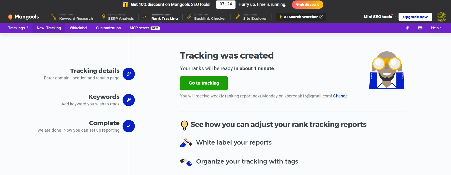 The service's promise of instant analysis of website positions