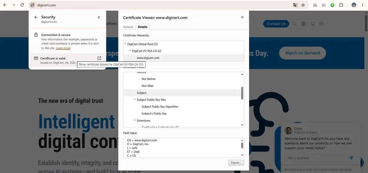 Example of an EV type SSL certificate for organizations